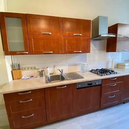 Lejlighed Cozy And Renovated In The Heart Of The